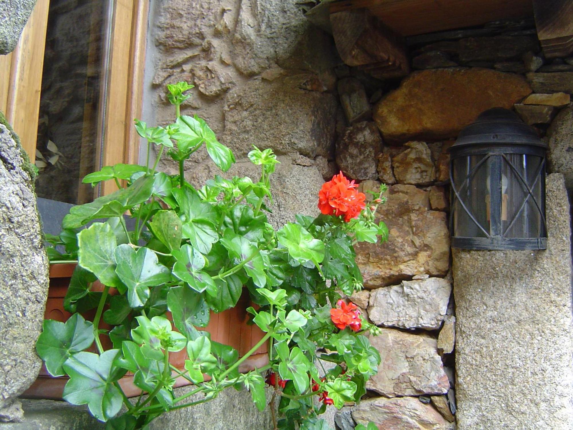 Casa Do Pinto Guest House Арока Екстериор снимка
