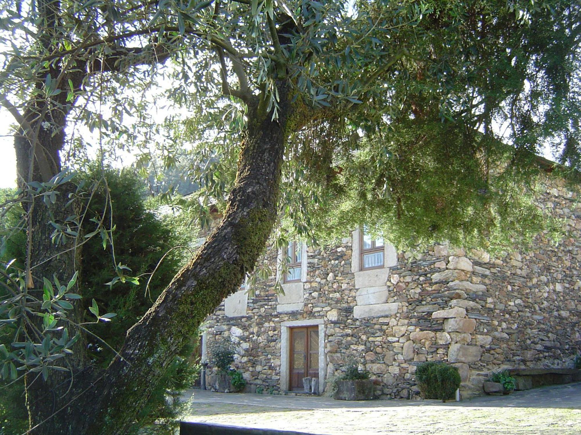 Casa Do Pinto Guest House Арока Екстериор снимка